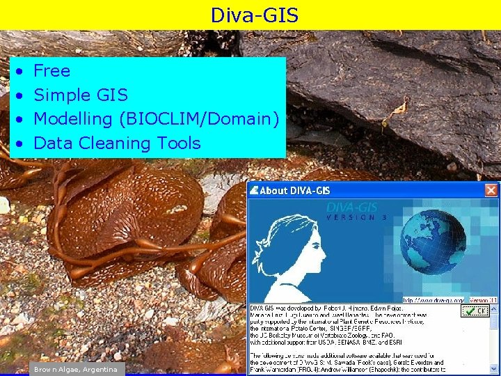 Diva-GIS • • Free Simple GIS Modelling (BIOCLIM/Domain) Data Cleaning Tools Brown Algae, Argentina