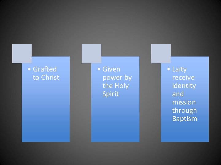 • Grafted to Christ • Given power by the Holy Spirit • Laity • Grafted to Christ • Given power by the Holy Spirit • Laity