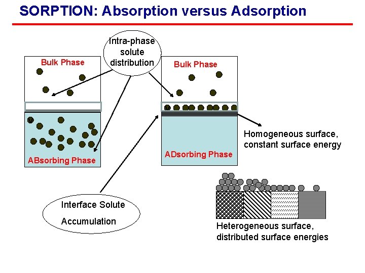 SORPTION: Absorption versus Adsorption Bulk Phase Intra-phase solute distribution Bulk Phase v v Homogeneous