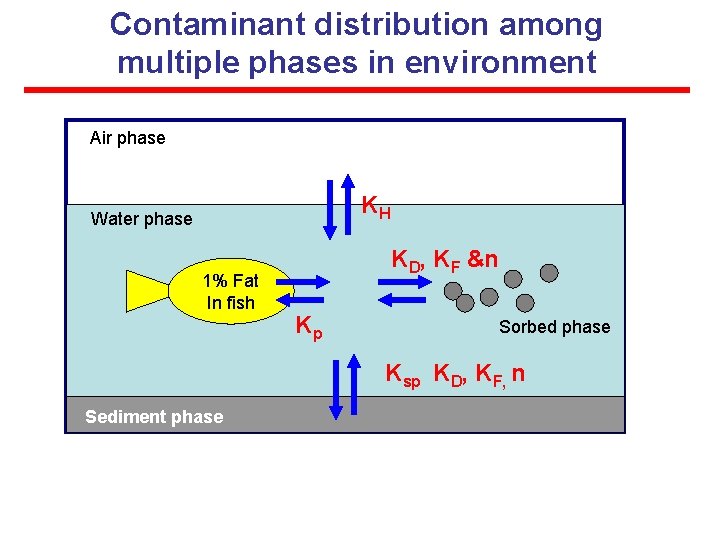Contaminant distribution among multiple phases in environment Air phase KH Water phase 1% Fat