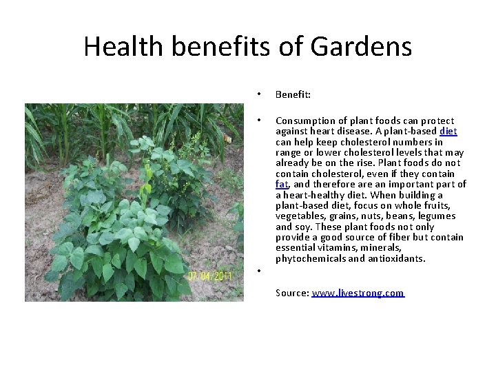 Health benefits of Gardens • Benefit: • Consumption of plant foods can protect against