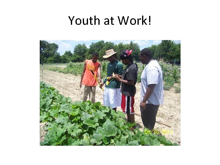 Youth at Work! 