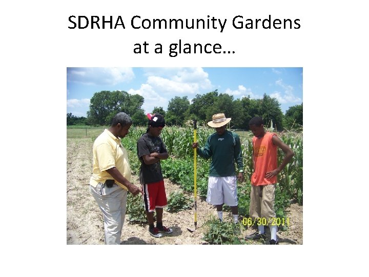 SDRHA Community Gardens at a glance… 