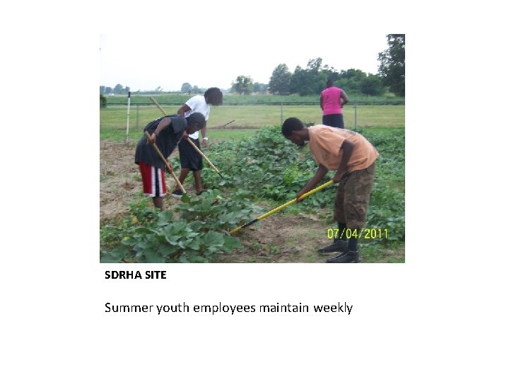 SDRHA SITE Summer youth employees maintain weekly 