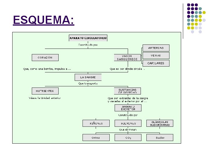 ESQUEMA: 