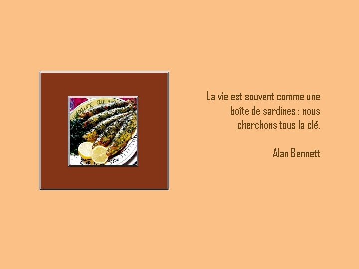 La vie est souvent comme une boîte de sardines ; nous cherchons tous la