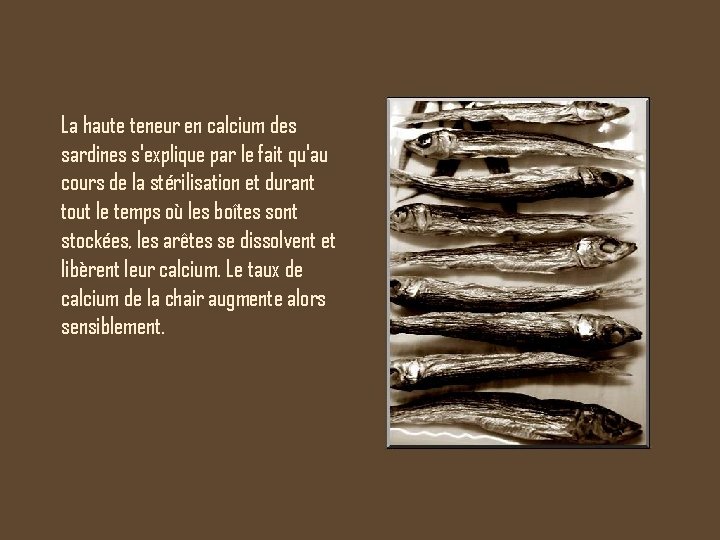 La haute teneur en calcium des sardines s'explique par le fait qu'au cours de