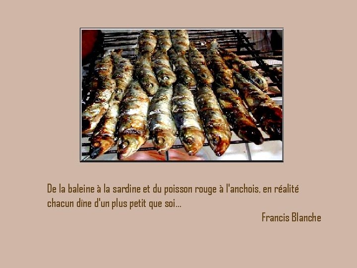 De la baleine à la sardine et du poisson rouge à l'anchois, en réalité De la baleine à la sardine et du poisson rouge à l'anchois, en réalité