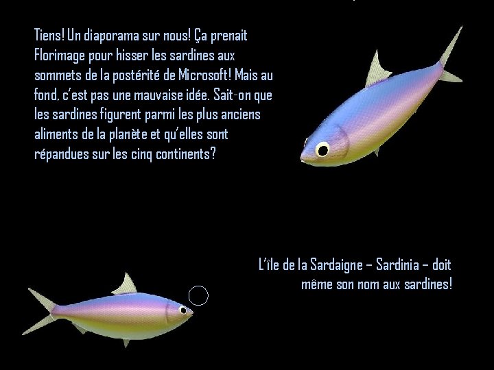 Tiens! Un diaporama sur nous! Ça prenait Florimage pour hisser les sardines aux sommets Tiens! Un diaporama sur nous! Ça prenait Florimage pour hisser les sardines aux sommets