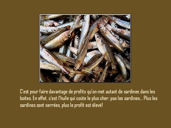 C’est pour faire davantage de profits qu’on met autant de sardines dans les boîtes.