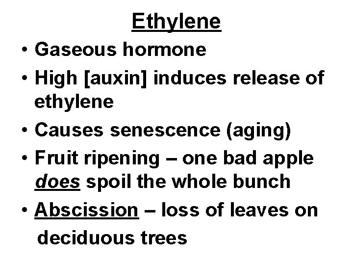 Ethylene • Gaseous hormone • High [auxin] induces release of ethylene • Causes senescence