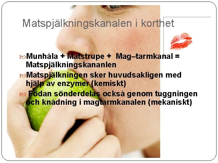 Matspjälkningskanalen i korthet Munhåla + Matstrupe + Mag–tarmkanal = Matspjälkningskananlen Matspjälkningen sker huvudsakligen med