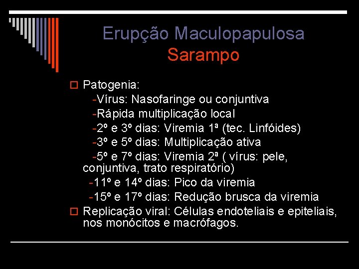 Erupção Maculopapulosa Sarampo o Patogenia: -Vírus: Nasofaringe ou conjuntiva -Rápida multiplicação local -2º e