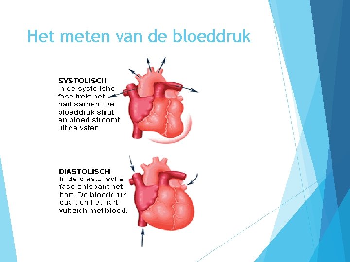 Meten van de bloeddruk Leerdoelen Kennislijn beschrijven hoe