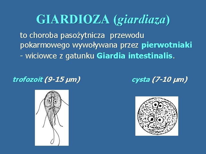 GIARDIOZA (giardiaza) to choroba pasożytnicza przewodu pokarmowego wywoływana przez pierwotniaki - wiciowce z gatunku