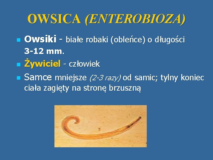 OWSICA (ENTEROBIOZA) n Owsiki - białe robaki (obleńce) o długości 3 -12 mm. n