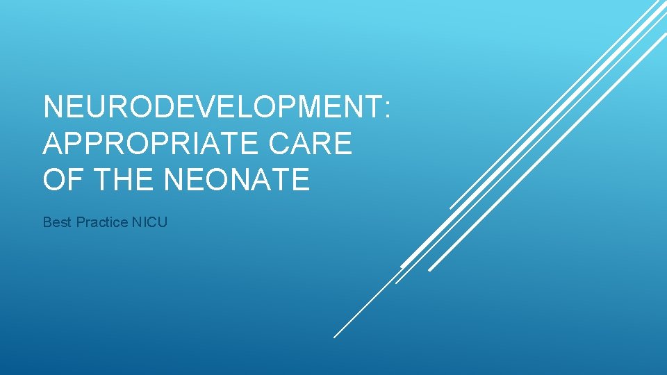 NEURODEVELOPMENT: APPROPRIATE CARE OF THE NEONATE Best Practice NICU 