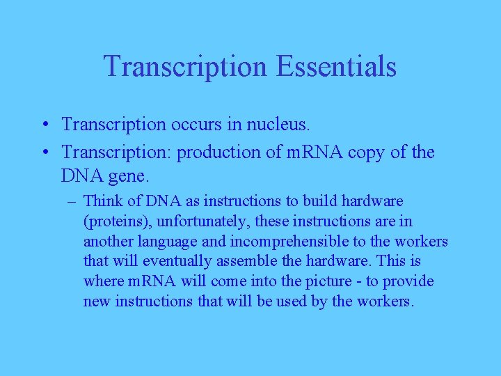 Transcription Essentials • Transcription occurs in nucleus. • Transcription: production of m. RNA copy