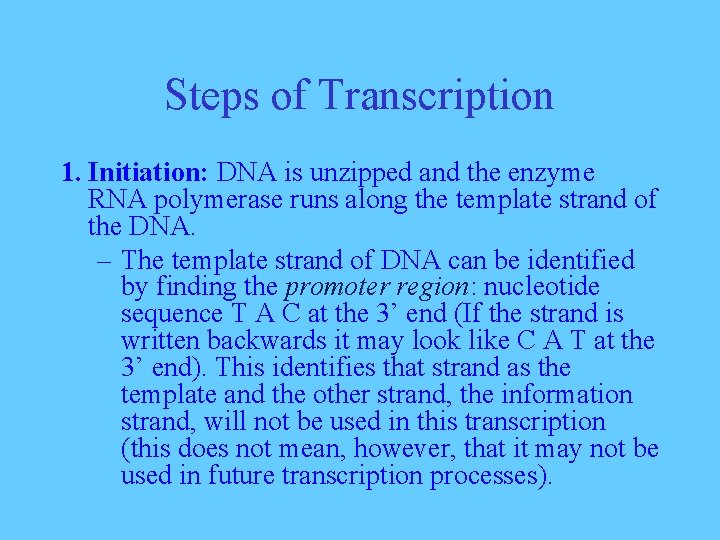 Steps of Transcription 1. Initiation: DNA is unzipped and the enzyme RNA polymerase runs