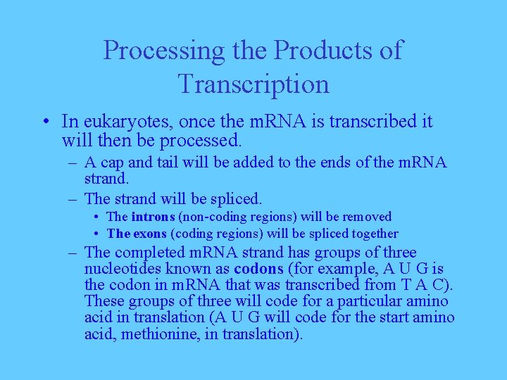 Processing the Products of Transcription • In eukaryotes, once the m. RNA is transcribed