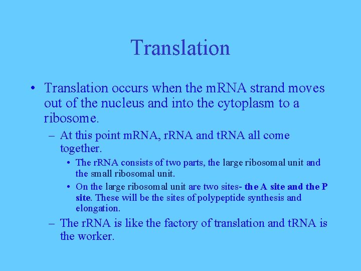 Translation • Translation occurs when the m. RNA strand moves out of the nucleus