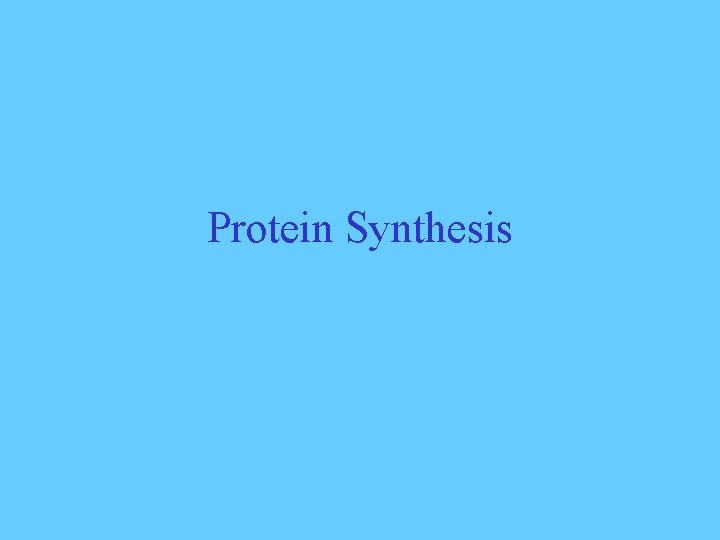 Protein Synthesis 