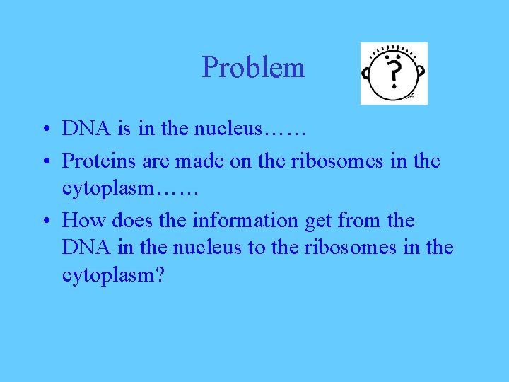 Problem • DNA is in the nucleus…… • Proteins are made on the ribosomes