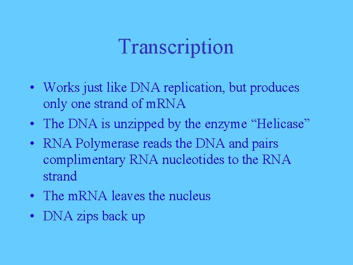 Transcription • Works just like DNA replication, but produces only one strand of m.