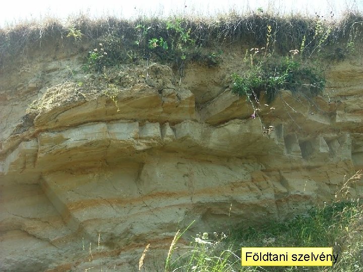 Földtani szelvény Földtani szelvény