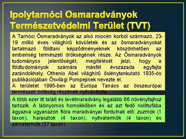 Ipolytarnóci Ősmaradványok Természetvédelmi Terület (TVT) A Tarnóci Ősmaradványok az alsó miocén korból származó, 2319