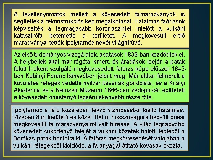 A levéllenyomatok mellett a kövesedett famaradványok is segítették a rekonstrukciós kép megalkotását. Hatalmas faóriások