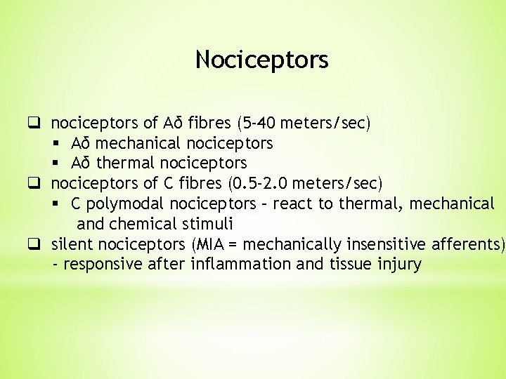 Nociceptors q nociceptors of Aδ fibres (5 -40 meters/sec) § Aδ mechanical nociceptors §