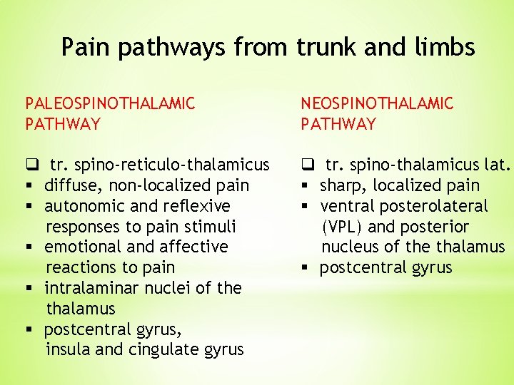 Pain pathways from trunk and limbs PALEOSPINOTHALAMIC PATHWAY NEOSPINOTHALAMIC PATHWAY q tr. spino-reticulo-thalamicus §