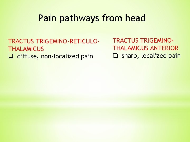 Pain pathways from head TRACTUS TRIGEMINO-RETICULOTHALAMICUS q diffuse, non-localized pain TRACTUS TRIGEMINOTHALAMICUS ANTERIOR q