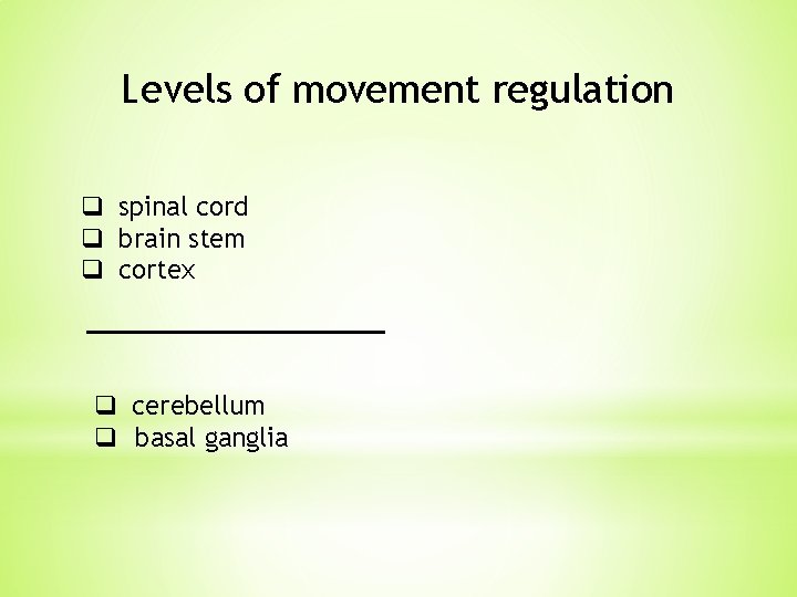 Levels of movement regulation q spinal cord q brain stem q cortex q cerebellum