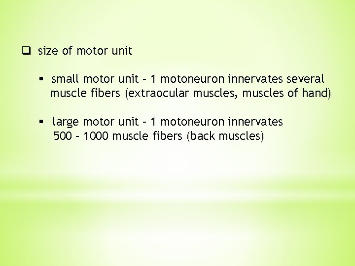 q size of motor unit § small motor unit – 1 motoneuron innervates several