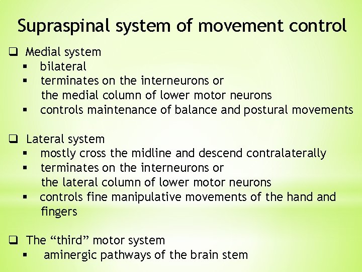 Supraspinal system of movement control q Medial system § bilateral § terminates on the