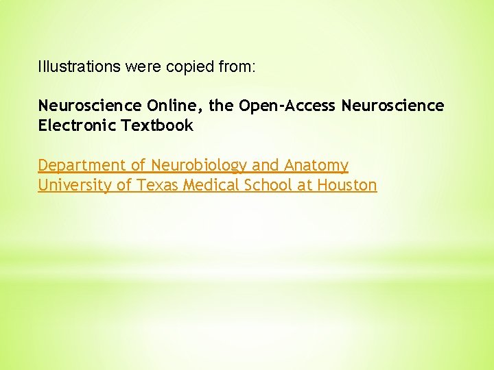 Illustrations were copied from: Neuroscience Online, the Open-Access Neuroscience Electronic Textbook Department of Neurobiology