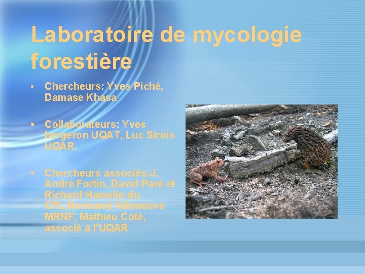 Laboratoire de mycologie forestière • Chercheurs: Yves Piché, Damase Khasa • Collaborateurs: Yves bergeron