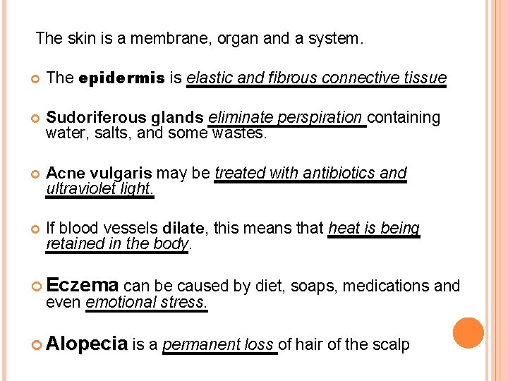 The skin is a membrane, organ and a system. The epidermis is elastic and