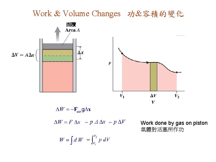 Work & Volume Changes 功&容積的變化 面積 Work done by gas on piston 氣體對活塞所作功 