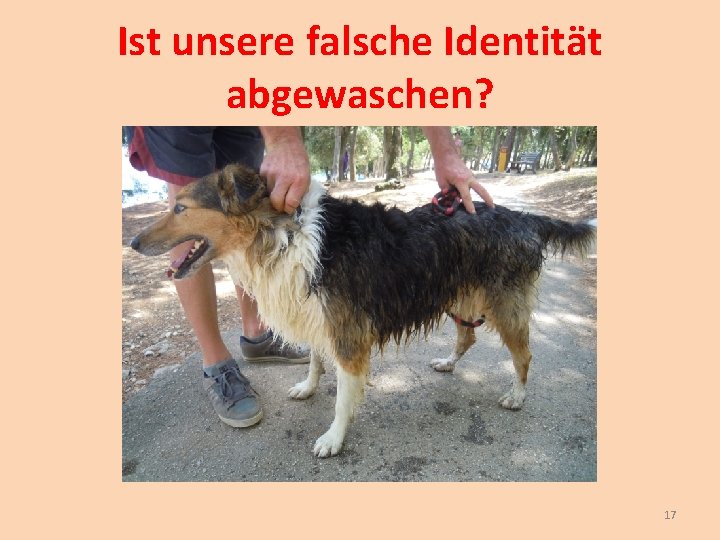 Ist unsere falsche Identität abgewaschen? 17 