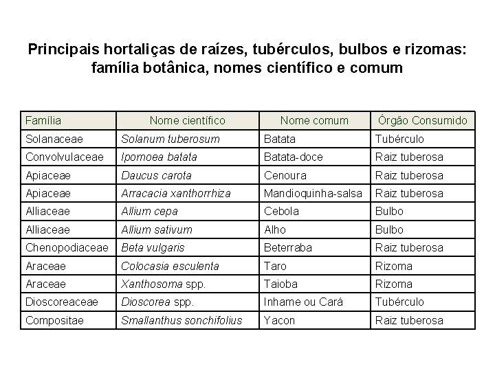 Principais hortaliças de raízes, tubérculos, bulbos e rizomas: família botânica, nomes científico e comum