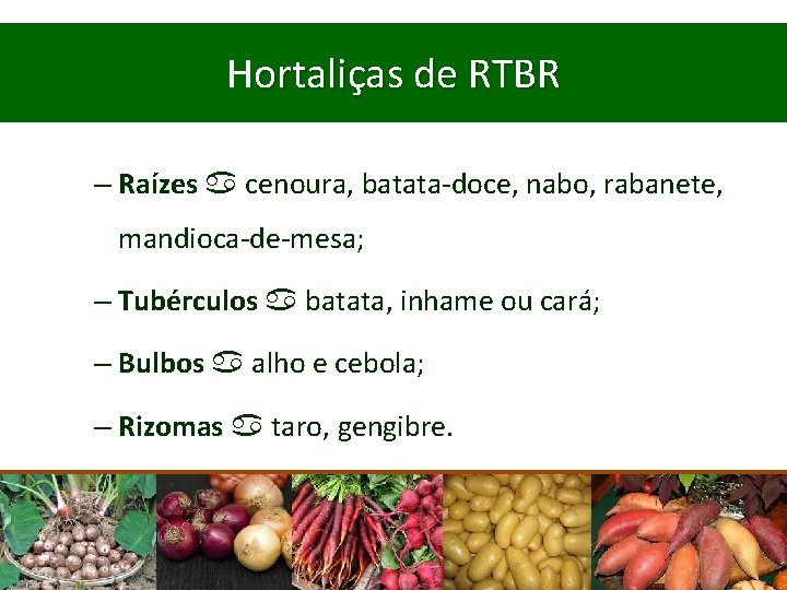 Hortaliças de RTBR – Raízes cenoura, batata-doce, nabo, rabanete, mandioca-de-mesa; – Tubérculos batata, inhame