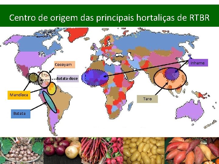 Centro de origem das principais hortaliças de RTBR Inhame Cocoyam Batata-doce Mandioca Batata Taro