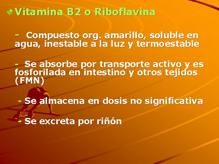Vitamina B 2 o Riboflavina - Compuesto org. amarillo, soluble en agua, inestable a