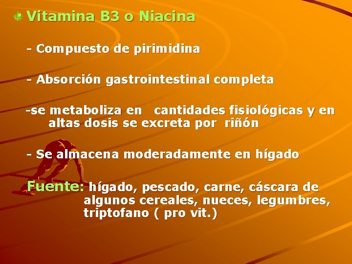 Vitamina B 3 o Niacina - Compuesto de pirimidina - Absorción gastrointestinal completa -se