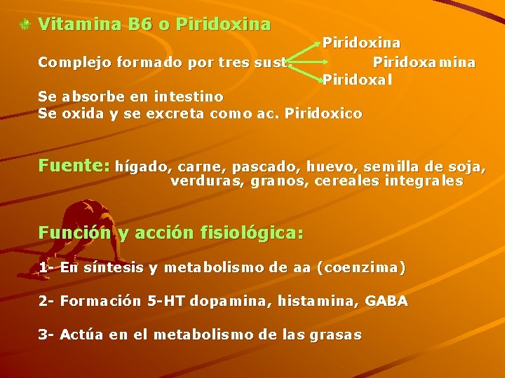 Vitamina B 6 o Piridoxina Complejo formado por tres sust. Piridoxina Piridoxamina Piridoxal Se