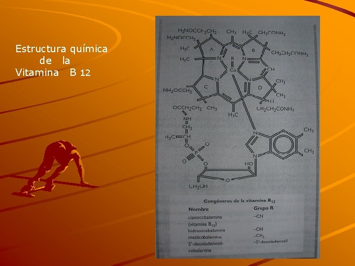 Estructura química de la Vitamina B 12 