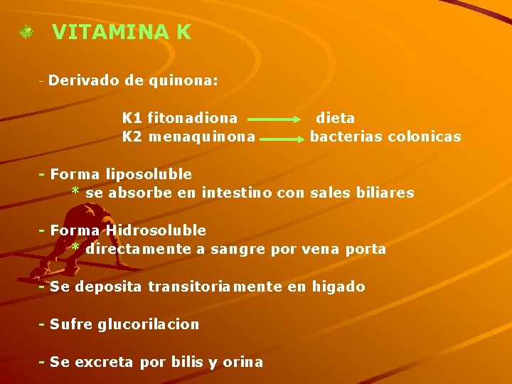 VITAMINA K - Derivado de quinona: K 1 fitonadiona K 2 menaquinona dieta bacterias
